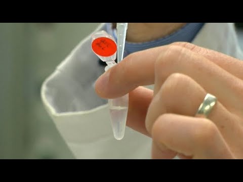 A new experiment fixed genetic mutations in embryos