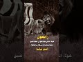 رائعون هؤلاء الذين قلنا لهم في لحظه ضيق دعونا وشاننا حالات 2023 