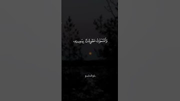 ارح سمعك 🎧بتلاوة توريح القلب ❤️🍁القارى @علي_الدليمي-95 #اكسبلور #المصحف #راحة_نفسية