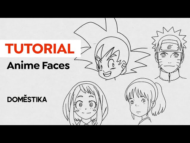 How to Draw Anime or Manga Faces: 15 Steps (with Pictures)