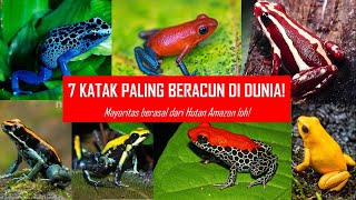 7 Katak Paling Beracun di Dunia yang Belum Banyak Diketahui!