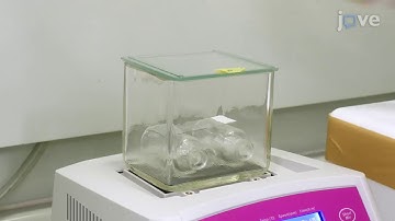 Visualization of Amyloid β Deposits in the Human Brain with Matrix-assisted Laser Desorption