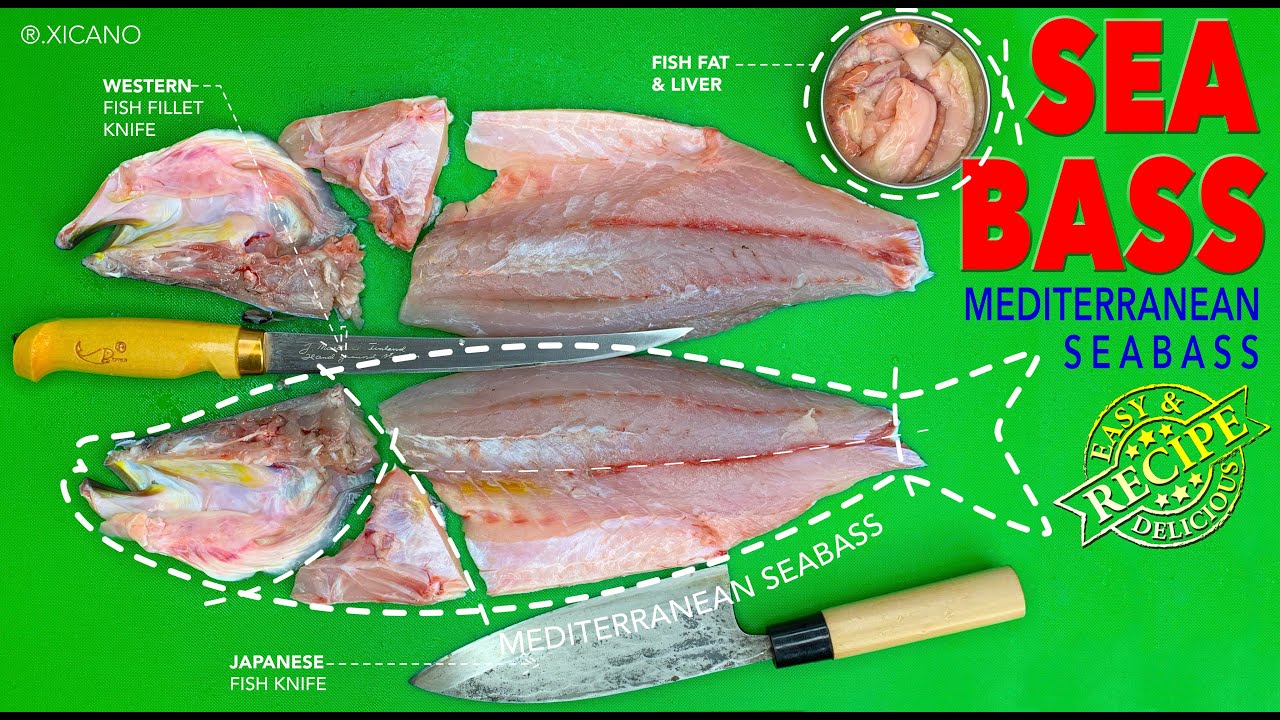 SEA BASS (Mediterranean Sea bass) HOW FILLET & COOK SEABASS YouTube