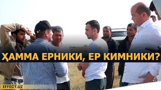 СУРХОНДАРЁДАН ГАПИРАМИЗ: ДЕНОВДА КЛАСТЕР ЧОРВАДОРЛАРГА ЙЎЛ БЕРМАЯПТИ... - EFFECT.UZ