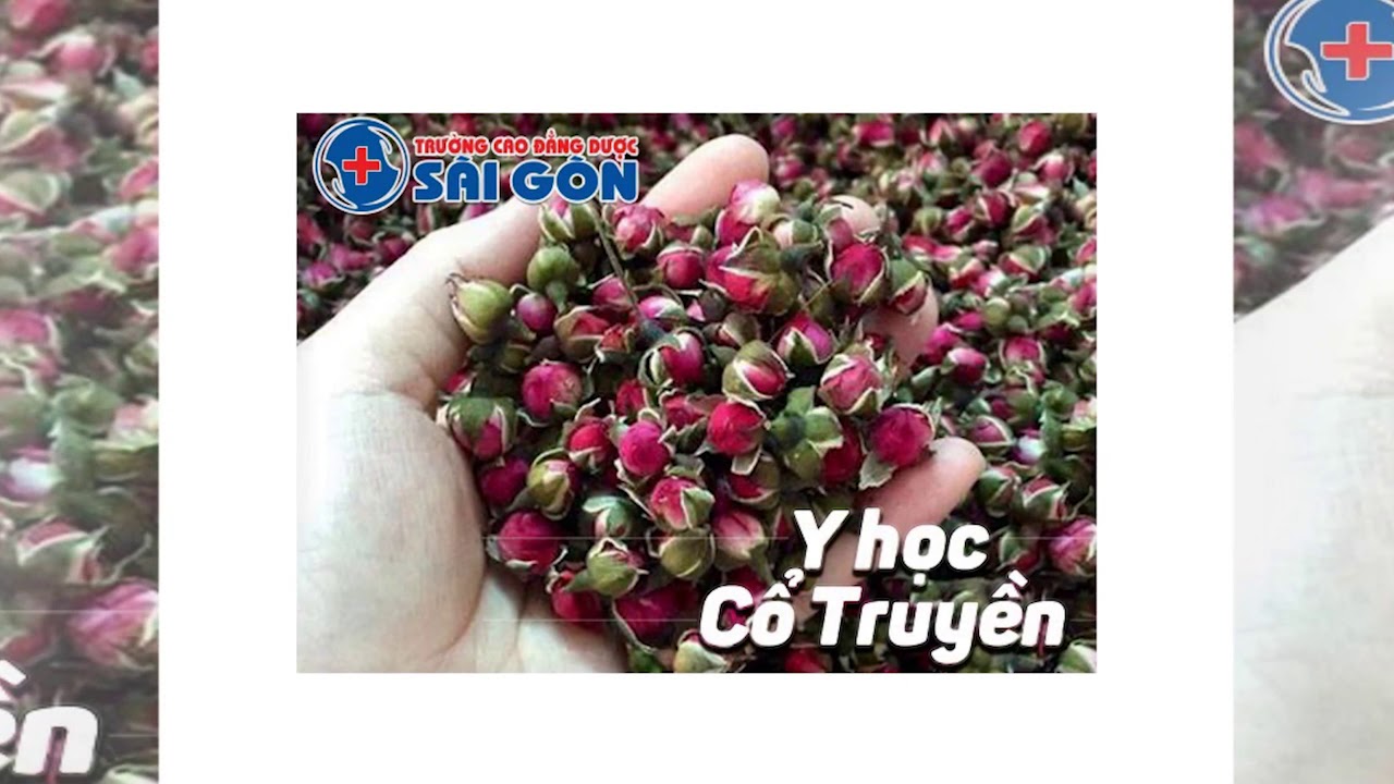 Tuyển sinh Trung cấp Y sĩ Y học cổ truyền Sài Gòn - youtube