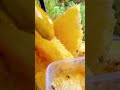 What Do U Think Shorts Relax Honey Honeycomb Fresh Foryou 109 