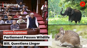 As Parliament Passes Wildlife Bill; Questions Linger On Elephants, Vermin