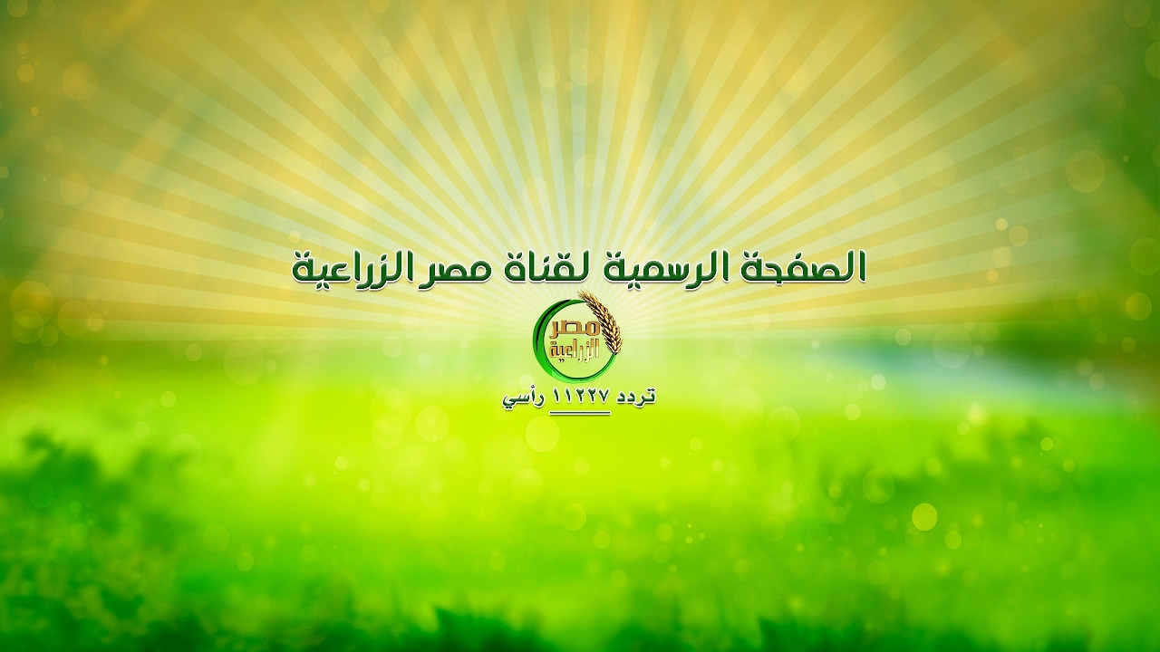 بث مباشر بواسطة مصر الزراعية
