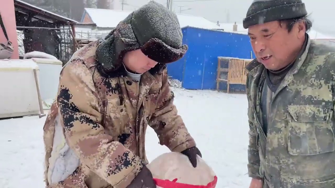 东北下雪天铁锅炖大鹅，上老乡家买个大鹅，大铁锅炖大鹅酸菜