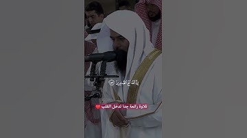 #تلاوة_رائعة #تلاوة_خاشعة #تلاوة_هادئة #تجويد #أنس_العمادي #البحرين #الجزائر #السعودية #مصر #دبي