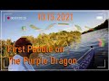 First Paddle on The Purple Dragon 10 15 2021