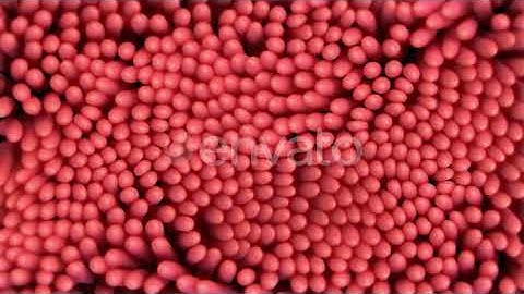 Wobbly Creature | Motion Graphics - Envato elements