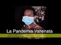 La Pandemia Vallenata - Robert Oñate ( autor : Luis Daza Oñate )