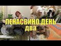 ЛЕНАСВИНО ДЕНЬ ДВА/ КУПАНИЕ ЧЕРЕПАХИ /МОИ УЛИТКИ