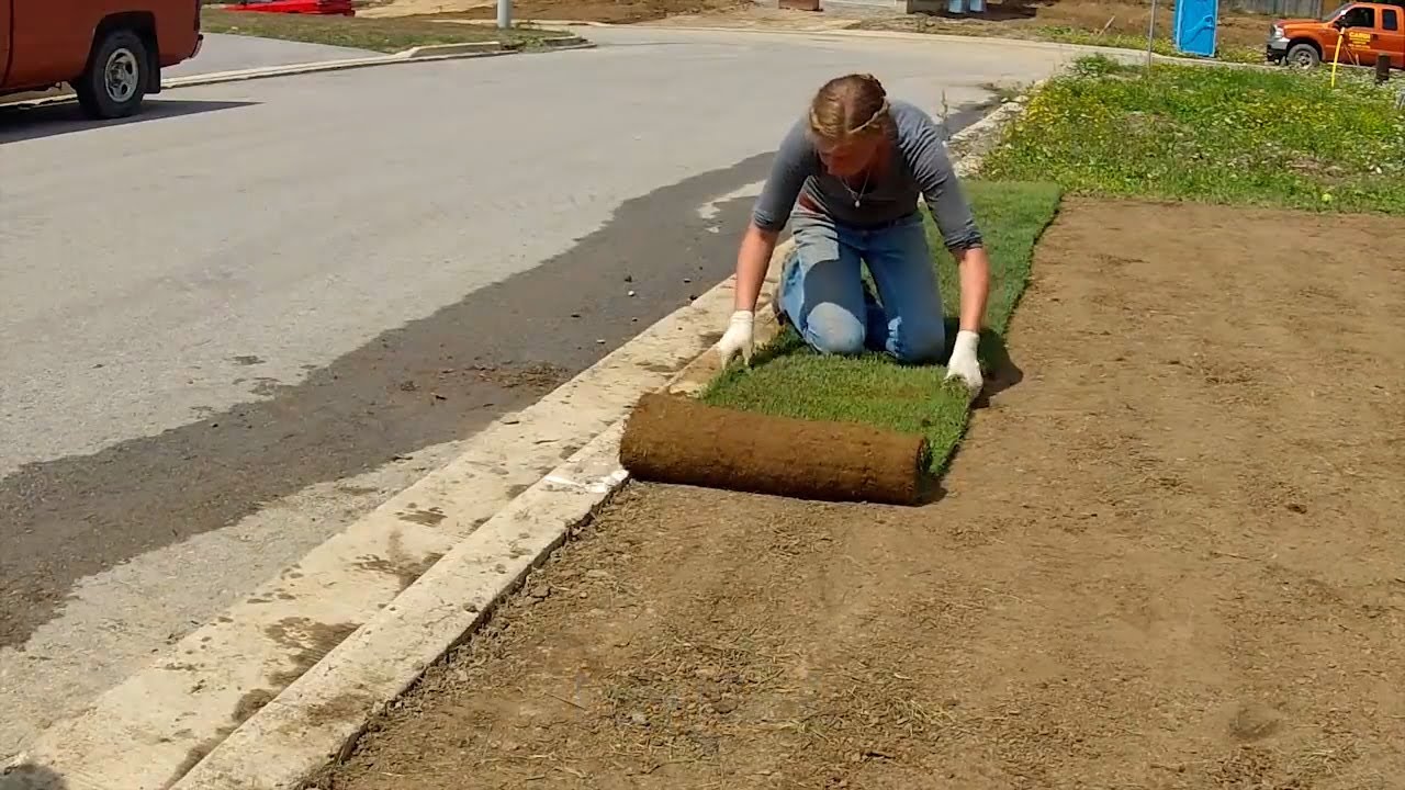 Sod Install - YouTube