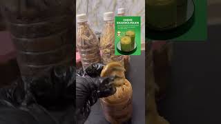 THE PRODUCT IS AVAILABLE