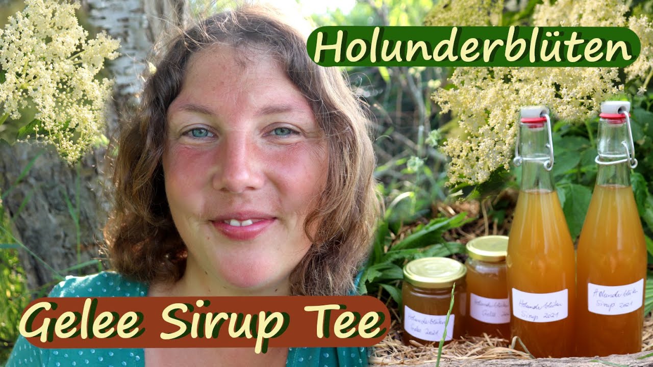 Holunderblüten verarbeiten Gelee Sirup Tee