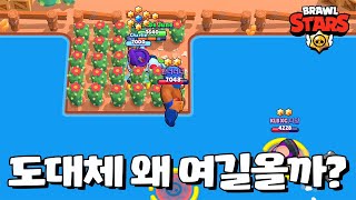 오기도 힘든 곳에 도대체 왜 다 모이는 걸까? [브롤스타즈-Brawl Stars] [June]