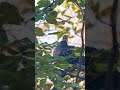 向島百花園211126