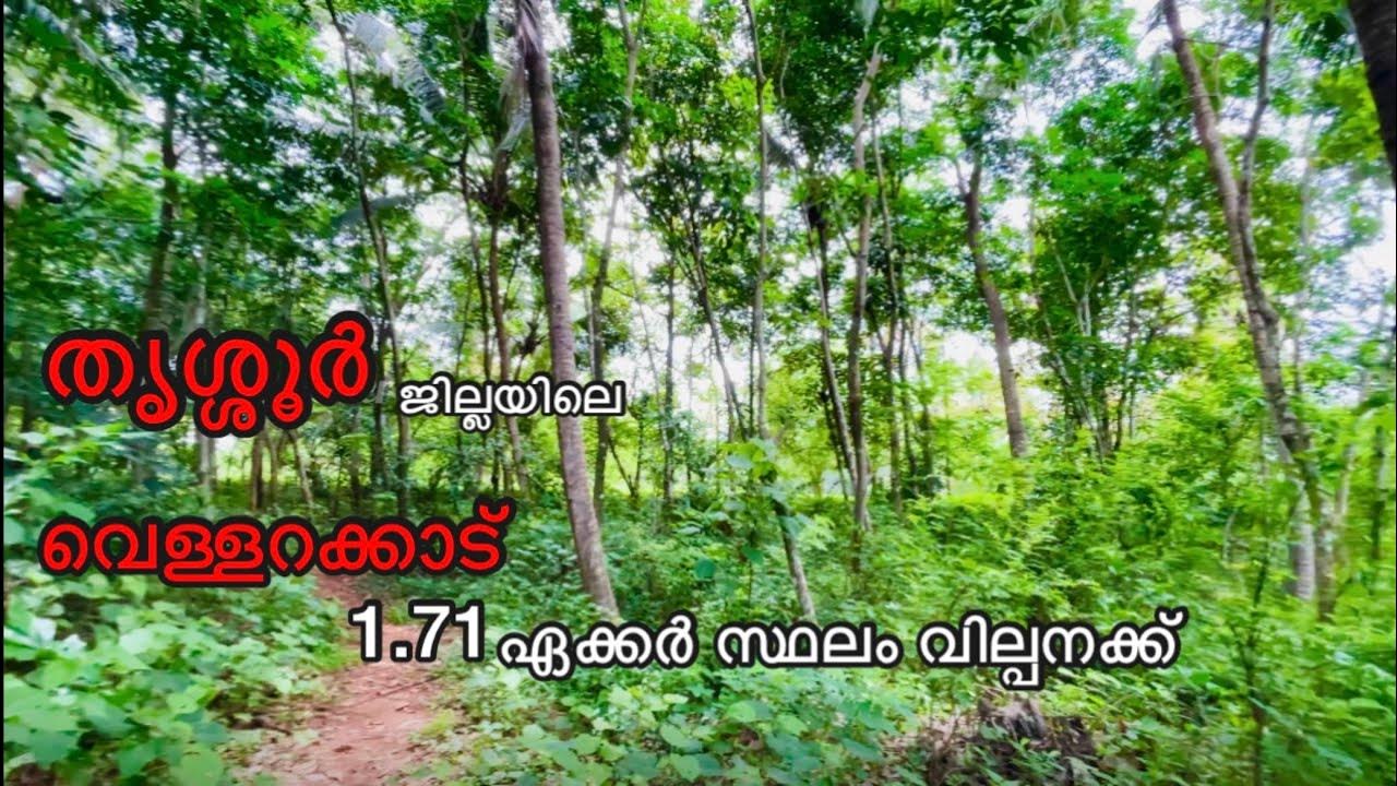 141 Land for sale at vellarakkad ( kunnamkulam, thrissur ) YouTube