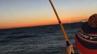 Juan Espada catching Monster Black Drums at the Texas City Dike DANGER Zone on February 17, 2022!