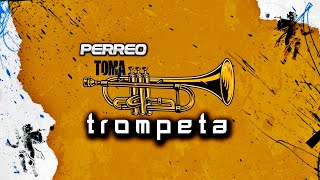 PERREO TOMA TROMPETA - @dylandj7 ✘ AITUBEAT