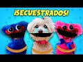 Huggy Wuggy y perrita Dasha SECUESTRADOS por Monstruo Misterioso en la Vida Real / Vídeos de Perros