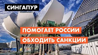 Как Сингапур помогает России обходить санкции [18+]