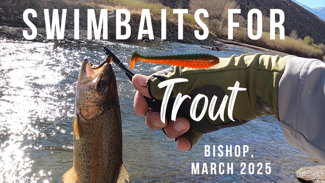 Swimbaits for Trout  |  Sierra Slammers in Bishop, Ca.
