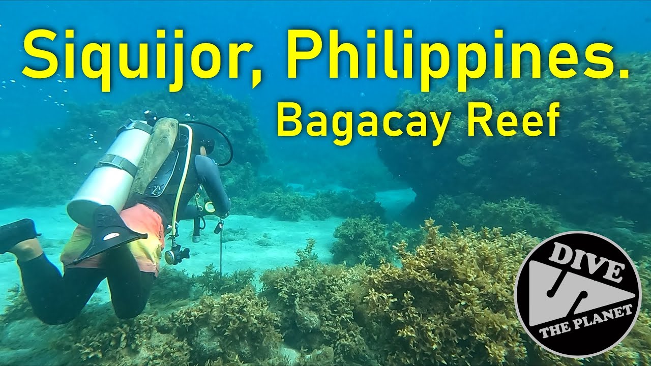 Scuba Diving at Bacacay Reef in Siquijor, Philippines