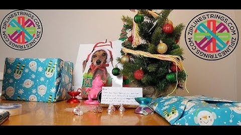 I got a Christmas present from ZipLine strings!