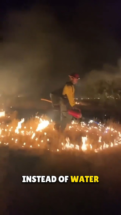 Using Fire against Forest Fire 😳