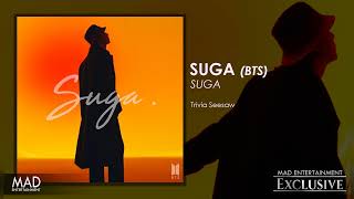 Suga (BTS) - (Trivia) Seesaw