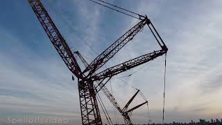 Flying Crane