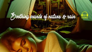 Cozy Rainy Tent Vibes: Relaxing ASMR Rain Sounds and Serene Ambience, nature, Rain Sound