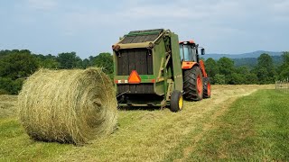 The key to a successful hay crop, it's all in the undergrowth!!! by Long Farms 551 views 1 year ago 6 minutes, 53 seconds