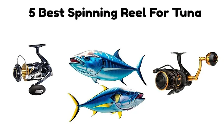 best spinning reel for tuna 2025