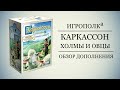 Каркассон. Холмы и овцы.