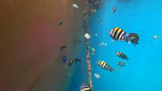 Sony Kamerayi Olta Yeri̇ne Kullanirsan Ne Olur ?