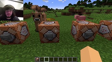 Minecraft Java Edition 1.17+ - How to Make All of My Custom Spawn Eggs (Tutorial) (Obsolete in 1.21)