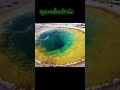 world first greenery - (Blue - green Algae) | By Poornima |