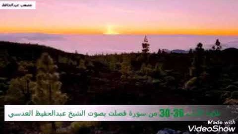 الشيخ عبدالحفيظ العدسي تلاوة تستريح لها القلوب