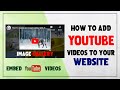 How To Add Youtube Video In Your Website || Embed Youtube Video Inside The Website