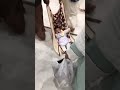 طفل في الصفاء والمروه 2025 