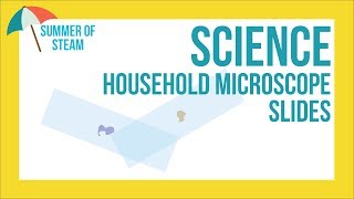Household Microscope Slides - Science - Summer of STEAM 2018