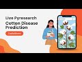 Pyresearch Cotton Disease Prediction Deep Learning
