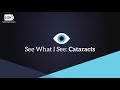 See What I See: Cataracts Virtual Reality Experience