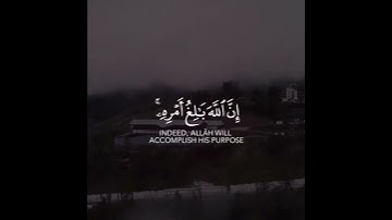 القارئ بدر التركي - ومن يتق الله يجعل له مخرجا