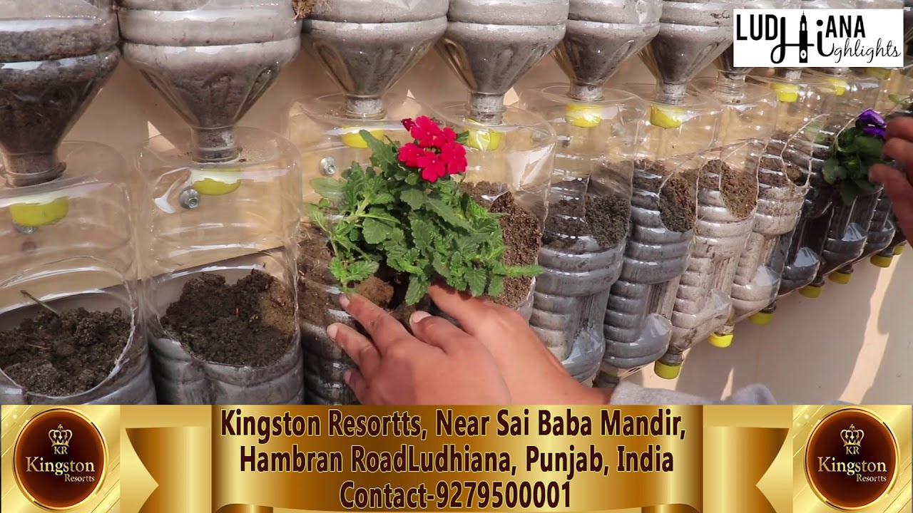Wall Garden | Hanging Garden | Bottle Garden by Mr. Harbans Kainth at