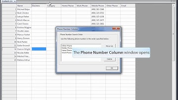 Call Center CRM - Exporting to BroadcastByPhone